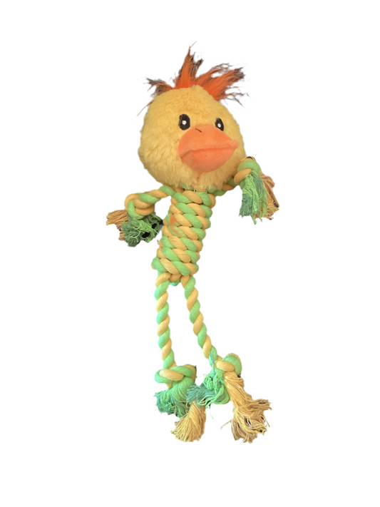 Dog Toy Duck